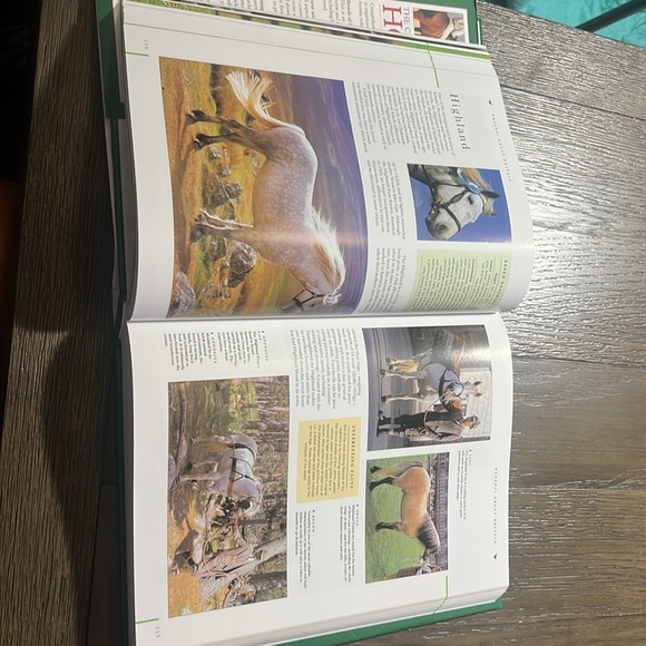 The complete book of horses, hardback (521 pages) - Picture 6 of 15